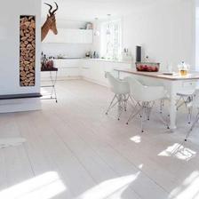 Carles & Ray Eames - DAR - 1948