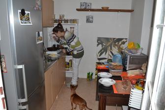 Varime na stedry vecer. Chladnicka nefunguje, vypla sa potom co teplota v kuchyni klesla pod 6 stupnov celzia. :-)