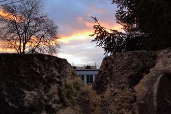 veľký kmeň ostáva, bude tam na pár rokov bunker pre mladú, s výhladom na hrad...vykúka ponad budovu