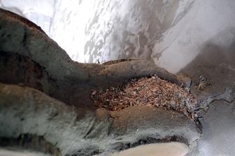 V stene - medzi maltu idu piliny ako izolácia. Keby sa stavia cordwood dom treba použit špalky aspoň 30 -40 cm dlhé. Ja v dielni nemám také nároky na izoláciu takže moje špalky majú iba 20 cm