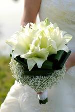 my flowers