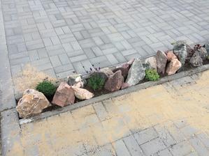 "Suplik" pred domeckem vyplnen ;)