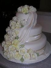 CHCEM VSETKY TORTY:)