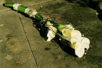 Kyti - uvažovala jsem nejprve o kalách, tulipánech, nebo v komb. s růžemi, ale pak sjem někde viiděla super kytku z gerber a myslím, že je rozdhoduto o květině No.1 naší svatby, k tomu asi kombicace s růžemi...