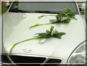 květiny_auto 2