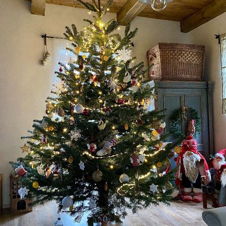 A jak to bylo dál?….