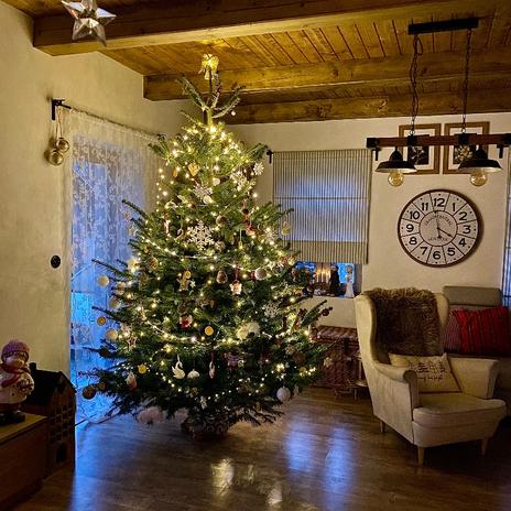 A jak to bylo dál?….