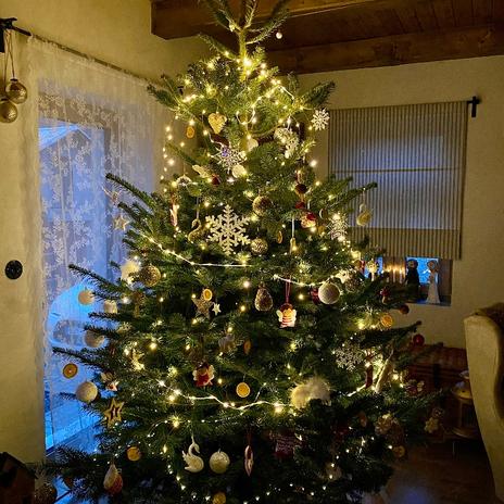 A jak to bylo dál?….