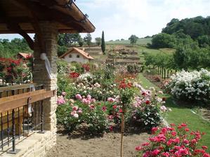Pension Roseta