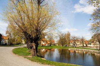 Třebíz