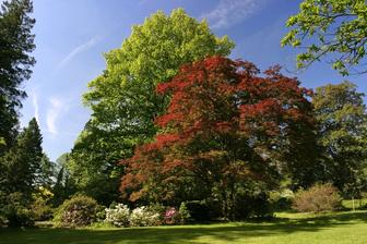 Arboretum Nový Dvůr