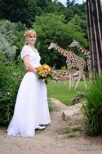 Zoo Plzeň