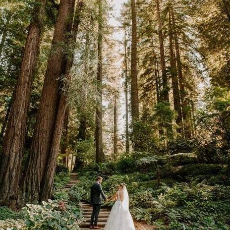 Neobyčejné kouzlo přírody 