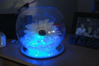 With the purple floralyte foe evening.