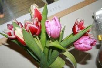 s takymito krasavcami dnes moj drahy prikvitol z prace ;o)