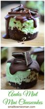Andes Mint Mini Cheesecakes