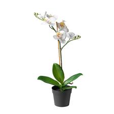 orchidea na parapetu pojde urcite umela orchidea na okno Ikea umela Fejka 6,99