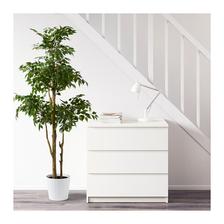 vedla vane umely fikus Ikea 55eur