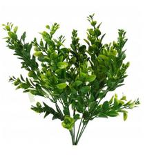 kvety buxus 0,7eur florasystem
