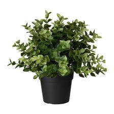 kvety na okno v kuchyni buxus umely Fejka Ikea 4eura