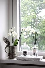 parapet do rohu pojde jedna orchidea v krhlicke