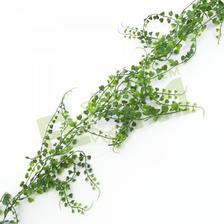 tahavy kvet florasystem girlanda zelena 0,9eur