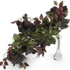 tahavy kvet na linku tahac dekor florasystem 5,5eur