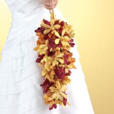 orchidej
