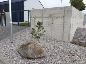 Dali sme sancu tomuto chudatku. Niekto ho mal pred asi 3 rokmi asi ako vianocny stromcek. Potom ho vyhodil na pavlac a odvtedy tam zivoril. Nikto sa o neho nestaral. Ked sme sa stahovali, tak som ho zobrala. Ma sancu na lepsi zivot, uvidime...