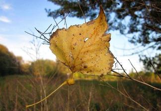inšpiracia
