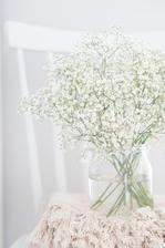 https://mypieceofvintageprairie.blogspot.sk/2018/01/flower-of-month-babys-breath-kvet.html