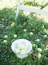 http://www.prairie-charm.com/2018/08/apple-cookies-jablkove-cookies.html