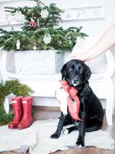http://www.prairie-charm.com/2019/01/happy-2019.html