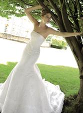 the dress