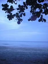 White sand beach