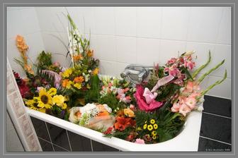 Taketo kvetinky sme podostavali :)