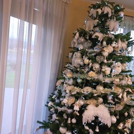 ⓂⓎ🅒🅗🅡🅘🅢🅣🅜🅐🅢 🅗🅒🅞🅜🅔 &𝓒𝓱𝓻𝓲𝓼𝓽𝓶𝓪𝓼 𝓯𝓪𝓼𝓱𝓲𝓸𝓷 𝓼𝓴𝓿𝓸𝓼𝓽𝔂...𝓒𝓸𝓶𝓶𝓲𝓷𝓰 𝓼𝓸𝓸𝓷 …   𝓢𝓸 𝓽𝓱𝓲𝓼 𝓲𝓼 𝓒𝓱𝓻𝓲𝓼𝓽𝓶𝓪𝓼… 🎵🎶²⁰²⁵ ℋ𝑜 𝒽𝑜 𝒽𝑜 🎅🏼🎄 ❄ 💙 ☃️