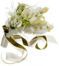 ..a touhle...