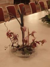 nieco orchidejkove na stol
