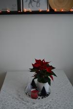 Tak my TŘI, naší 1. adventní neděli, strávili s malým na pohotovosti, ale koukala jsem přes mobil na vaše výtvory. Klobouk dolu před vámi všemi! Máte všechny krásnou vánoční výzdobu! Venku prší, fotka je tmavá...