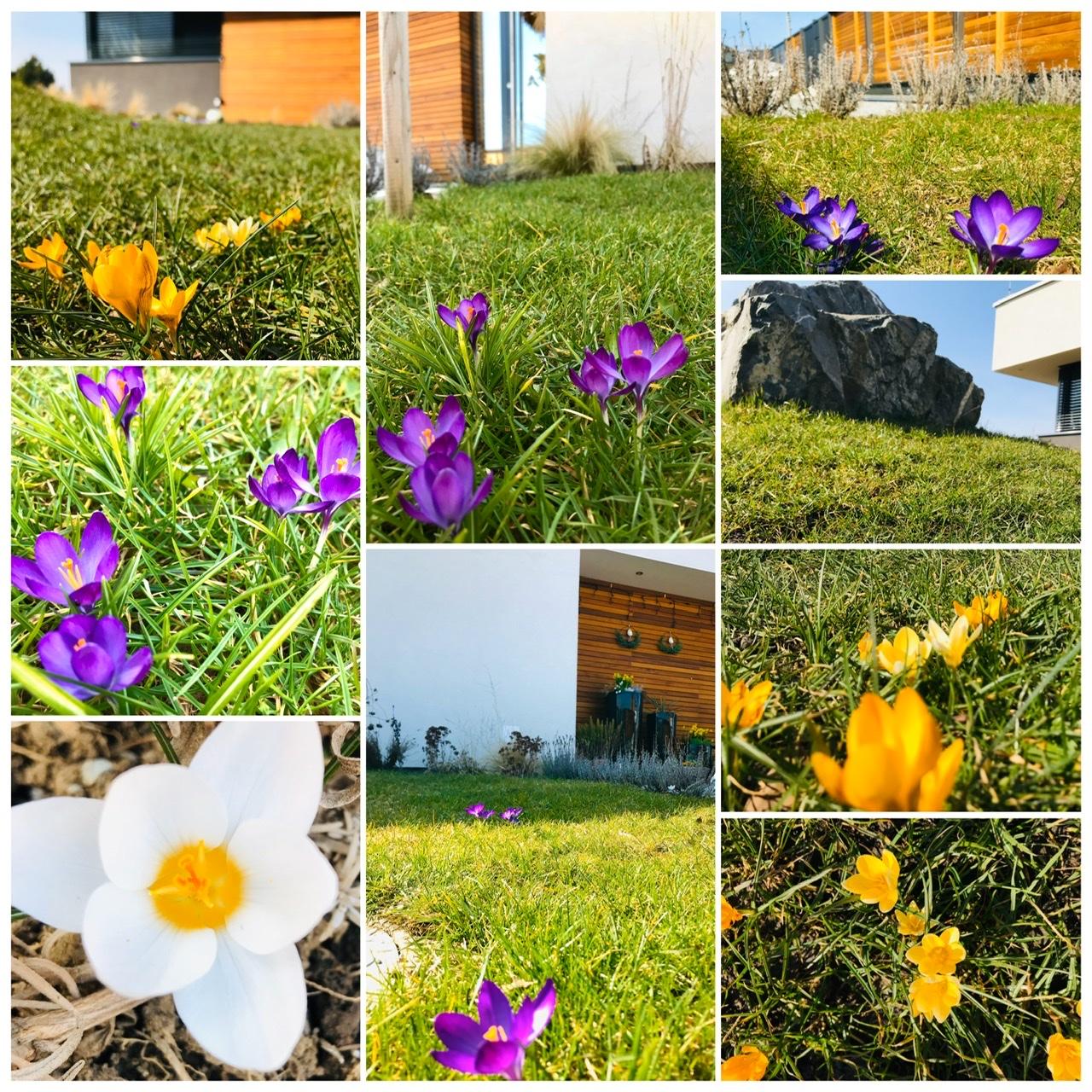 Naše L-ko - 2021 - stále dokončujeme - jarné dni na záhradke - prajem krásnú nedeľu