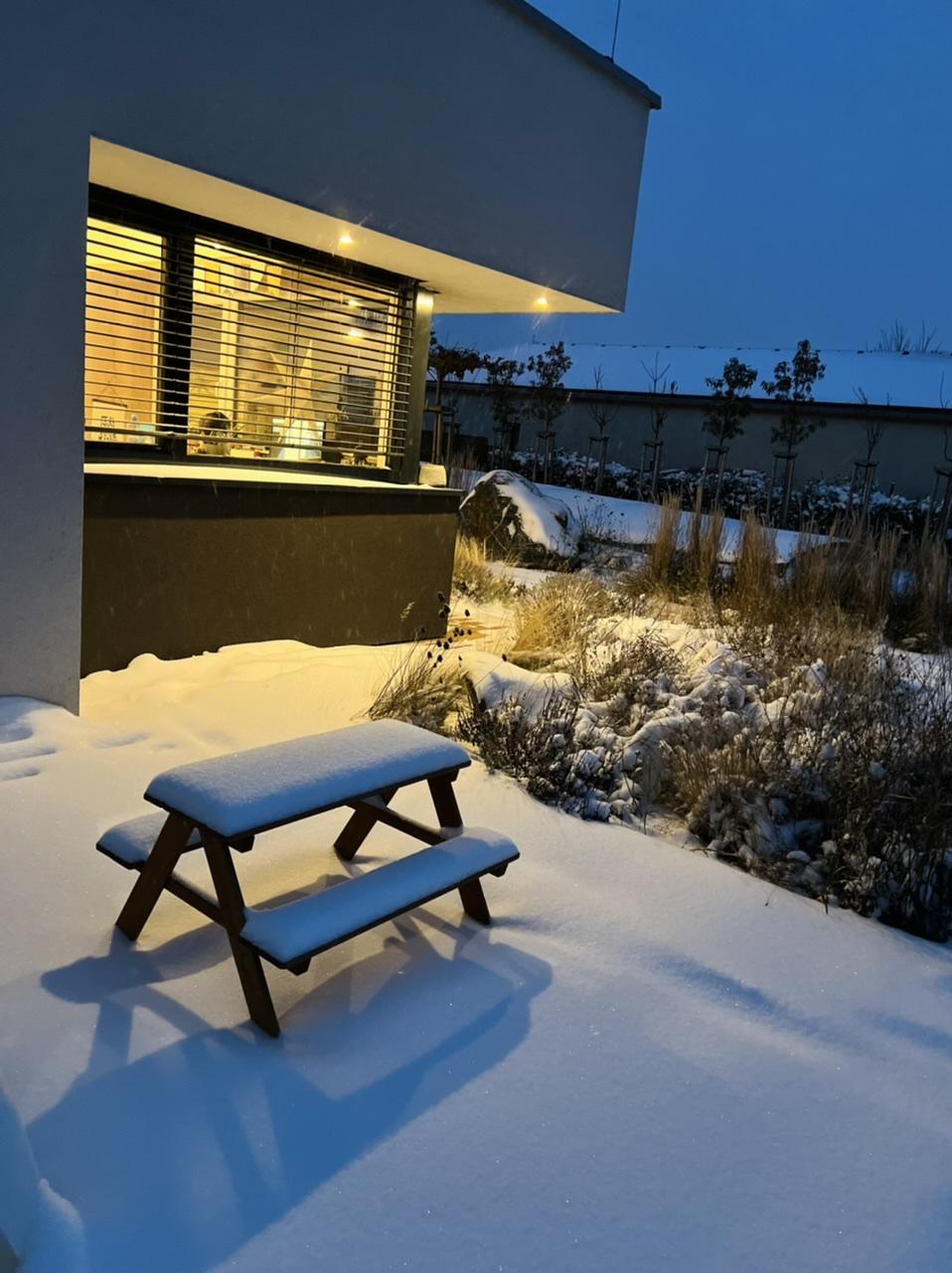 Naše L-ko 2023 - Záhrada v zime - zadná terasa, trvalky a trávy pod snehom