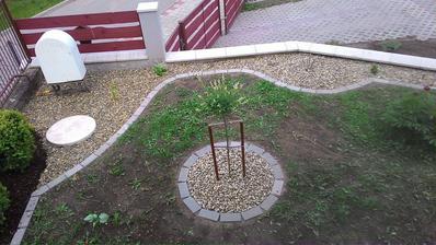 finis :P ešte trávička :(