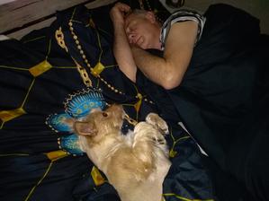Sotva jsem opustila postel už tam leží jiná