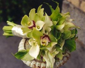 Taky krásné orchideje