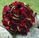 Kytica bordo