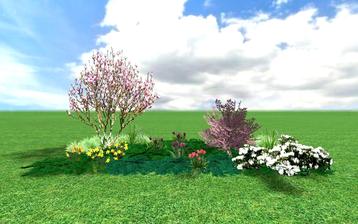 : magnolie s např. mandloní trojlaločnou Prunus triloba. Doprovodem jim jsou bílý nízký rododendron, pokryvné jehličnany, jarní cibuloviny. V létě na tomto záhoně namísto narcisů a tulipánů mohou kvést denivky
