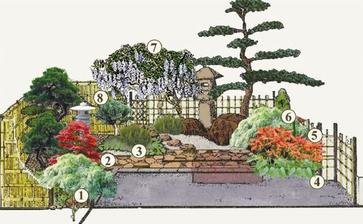 1 - bambus 2 - Javor (Acer palmatum) 3 - Borovica horská (Pinus mugo) 4 - Funkia (Hosta) 5. - Sumach pálkový (Rhus typhina) 6 - Javor dlaňolistý (Acer palmatum) 7 - Vistéria (Wisteria) 8 - - Borovica horská (Pinus mugo)