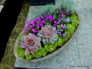 Succulents in different colors were mixed with purple violets to create this clever container.