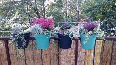 Pohlad z kuchyne na balkon, urobila som si trocha radostva obliekla ho do jesennej kolekcie :-)